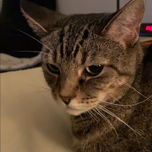 Meet your Posher, Roxanne